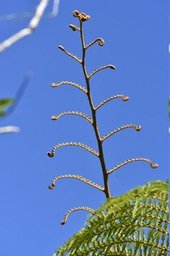 A la conquête de la lumière