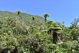 Paysage autour du bassin des Hirondelles