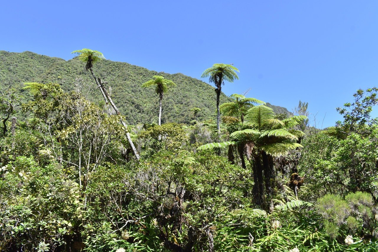 Paysage autour du bassin des Hirondelles