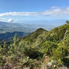 vue depuis le site de depart des parapentesIMG_2432.jpeg
