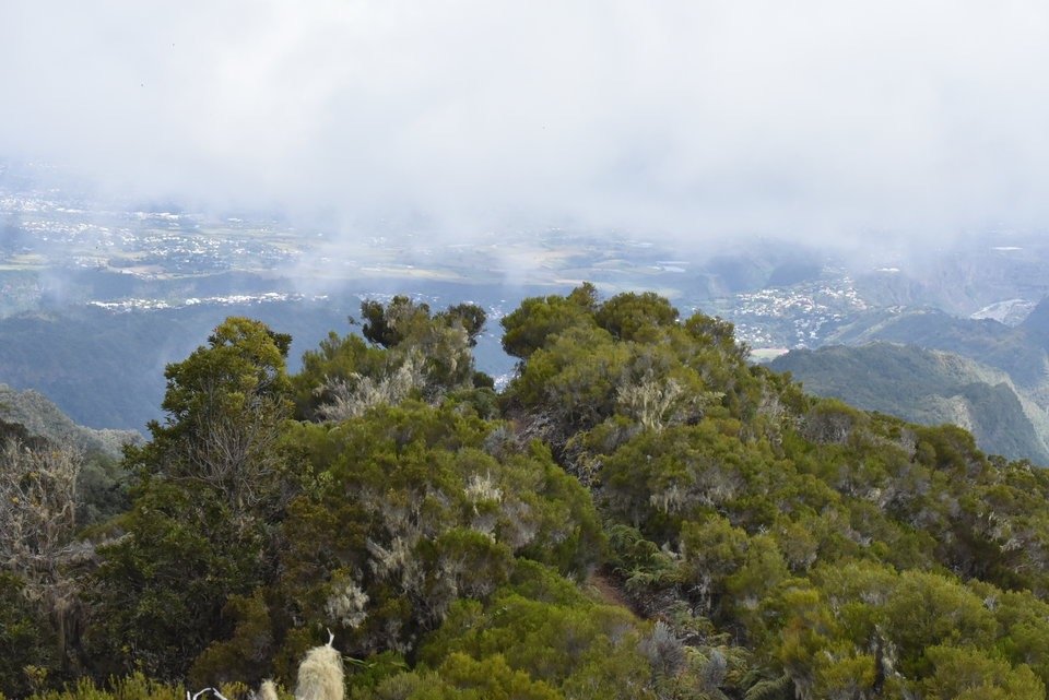 Sentier plongant sur l'Entre-Deux.jpg