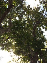 IMG_2051