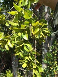 IMG_2057