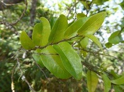 P1120696