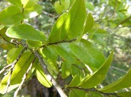 P1120709