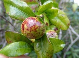 P1120728
