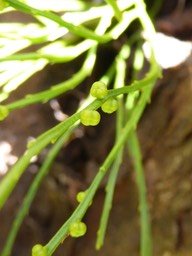 P1120880