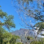 5. Le Piton des Neiges vu du sentier.jpeg