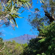 Piton des Neiges 14.jpeg