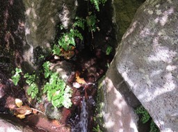 29 Eau claire jaillissant du rocher IMG_3294