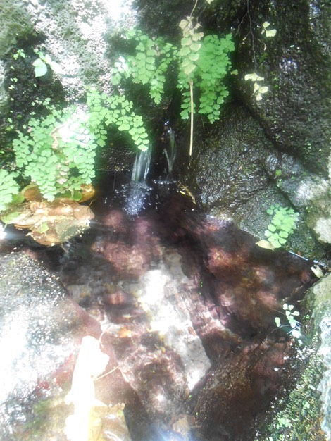 DSCN8668