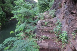 IMG_2257
