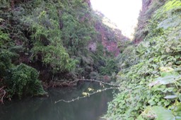 IMG_2258