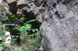 IMG_2276