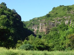 P1190879