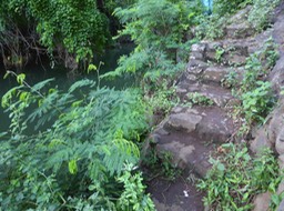 P1190884