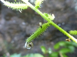 P1190891