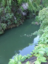 P1190892