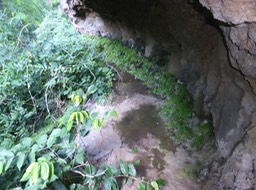 P1190895
