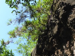 P1190897
