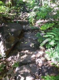 P1190901