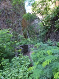 P1190903