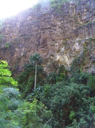 P1190907
