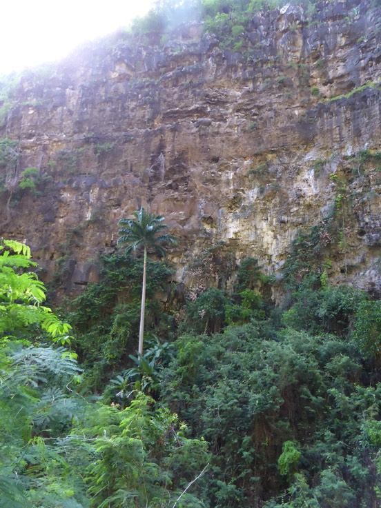 P1190907