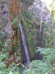 P1190909