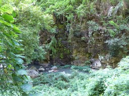 P1190925