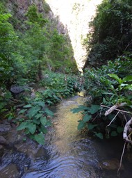 P1190927