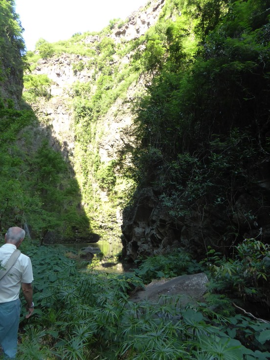 P1190929