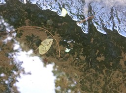 P1190934