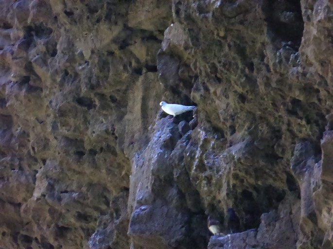 P1190936