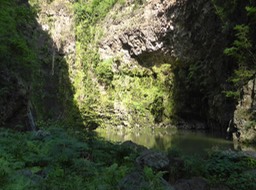 P1190937