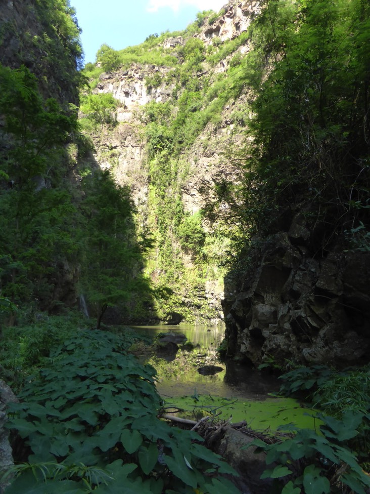P1190939