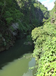 P1190952