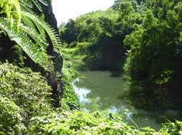P1190954