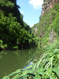P1190955