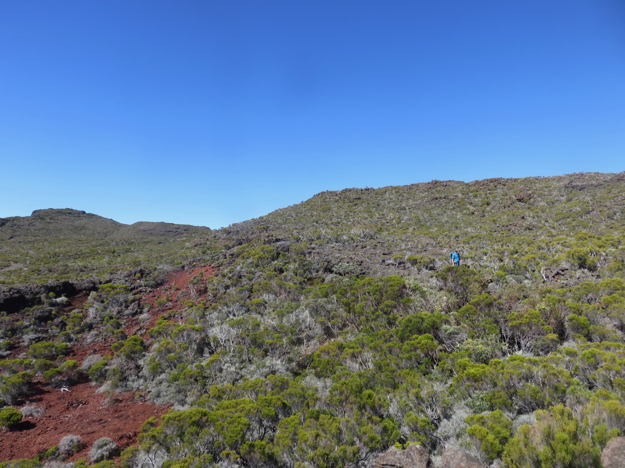 2a. Aux abords de la Caverne des Lataniers.jpeg