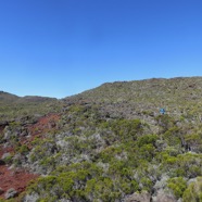 2a. Aux abords de la Caverne des Lataniers.jpeg