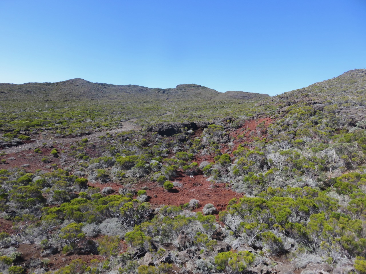 2b. Le site de la Caverne des Lataniers.jpeg