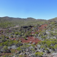 2b. Le site de la Caverne des Lataniers.jpeg