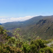 5. À l'approche de l'Oratoire vue sur la Savane Cimetière.jpeg