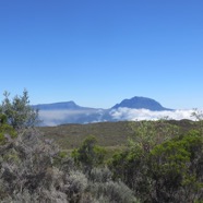 9. De l'Oratoire le Grand Bénare et le Piton de Neiges.jpeg