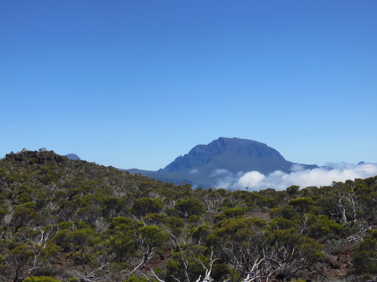 14. LePiton des Neiges.jpeg