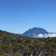 14. LePiton des Neiges.jpeg