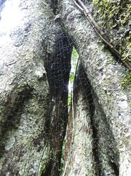 tenture éphémère .P1710586