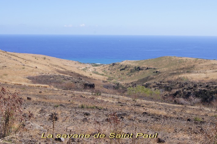 La savane de Saint Paul