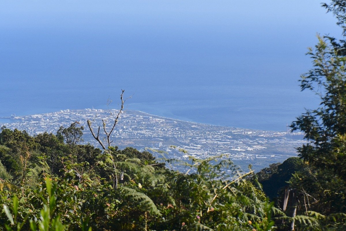  Vue sur Le Port 4199.jpeg